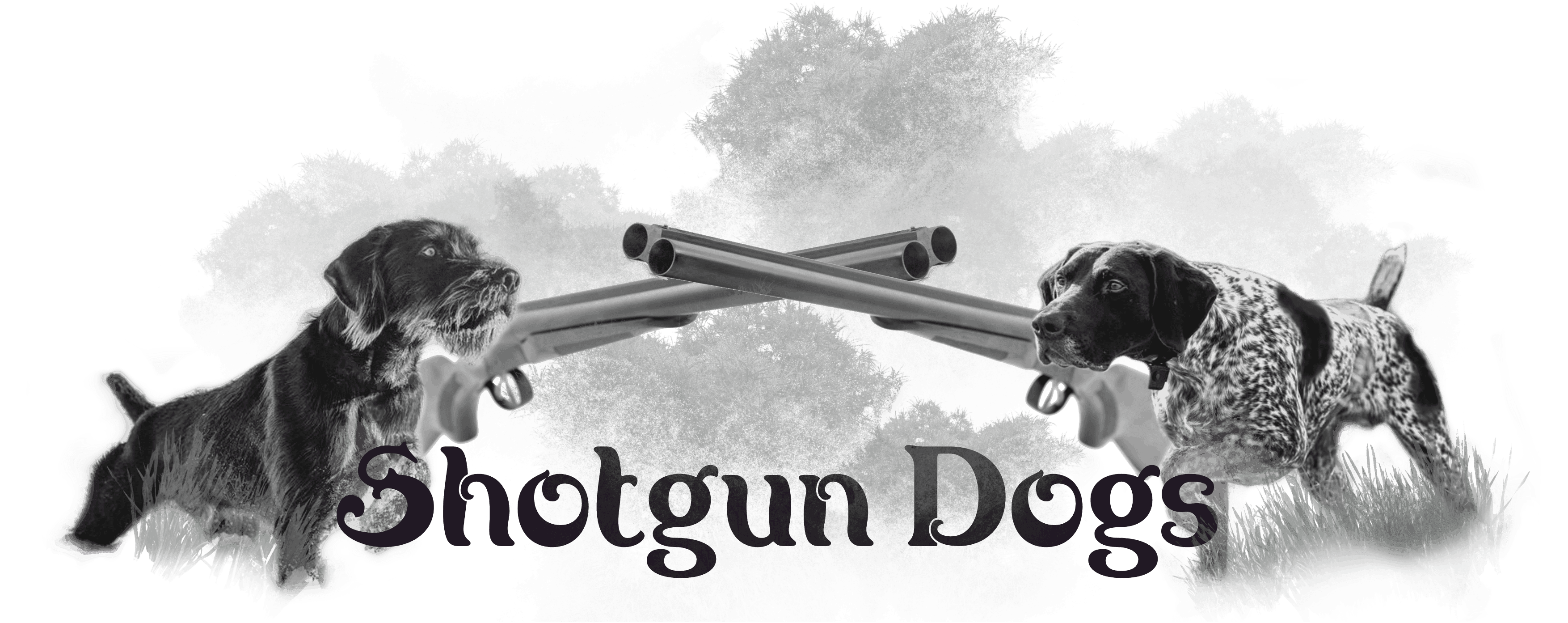Shotgun Dogs Logo